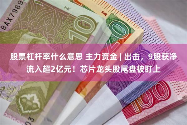 股票杠杆率什么意思 主力资金 | 出击，9股获净流入超2亿元！芯片龙头股尾盘被盯上