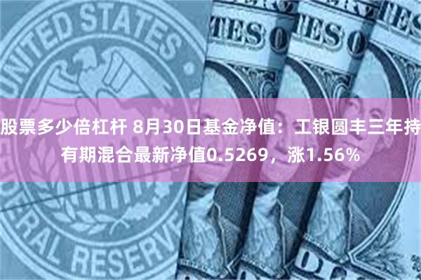 股票多少倍杠杆 8月30日基金净值：工银圆丰三年持有期混合最新净值0.5269，涨1.56%